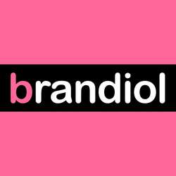 فروشگاه اینترنتی brandiolcom